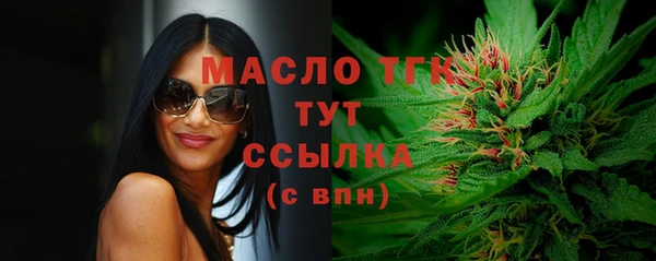 спиды Каменка