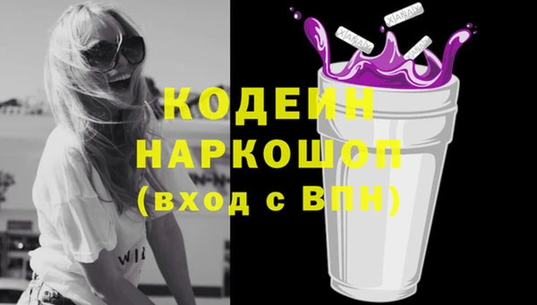 спиды Каменка