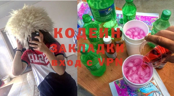 спиды Каменка