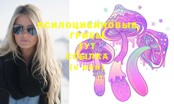 не бодяженный Каменногорск