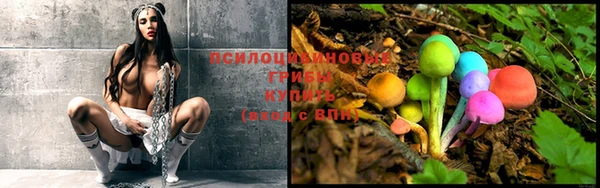 спиды Каменка