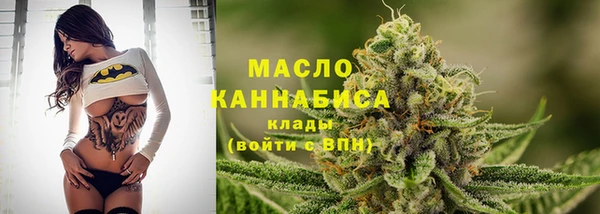 спиды Каменка