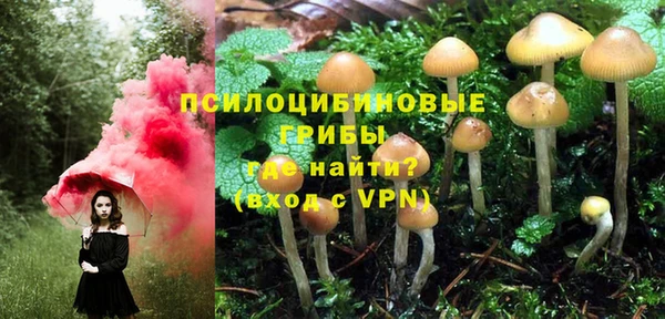 спиды Каменка