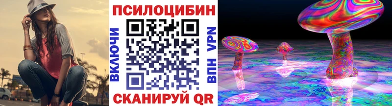 Купить закладки  Жуковка  Псилоцибиновые грибы мицелий 